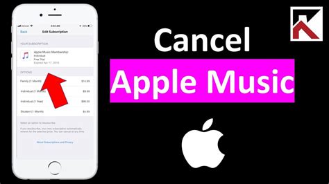 How Do I Cancel an Apple Music Subscription: A Detailed Guide with Insights